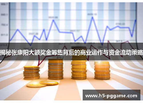 揭秘张康阳大额奖金筹集背后的商业运作与资金流动策略