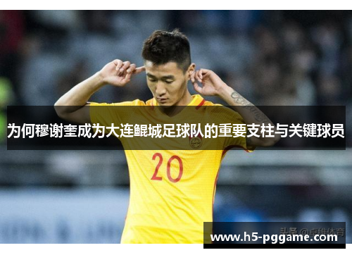 为何穆谢奎成为大连鲲城足球队的重要支柱与关键球员