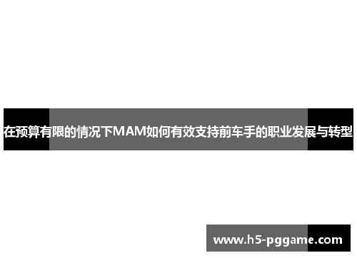 在预算有限的情况下MAM如何有效支持前车手的职业发展与转型