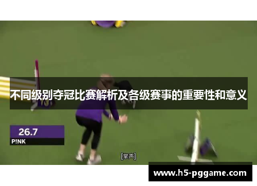 不同级别夺冠比赛解析及各级赛事的重要性和意义