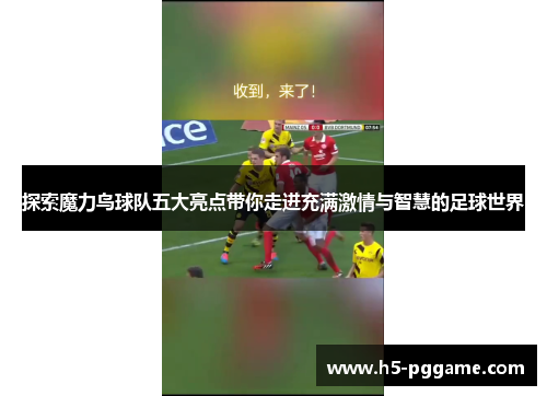 探索魔力鸟球队五大亮点带你走进充满激情与智慧的足球世界