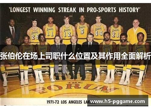 张伯伦在场上司职什么位置及其作用全面解析